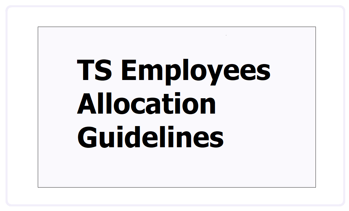 TS Employees Allocation Guidelines